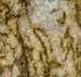 Golden Artico Granite