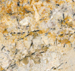 Golden Flakes Granite