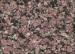 African Lilac Granite
